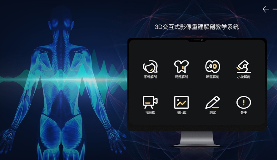 3D数字人体解剖教学系统